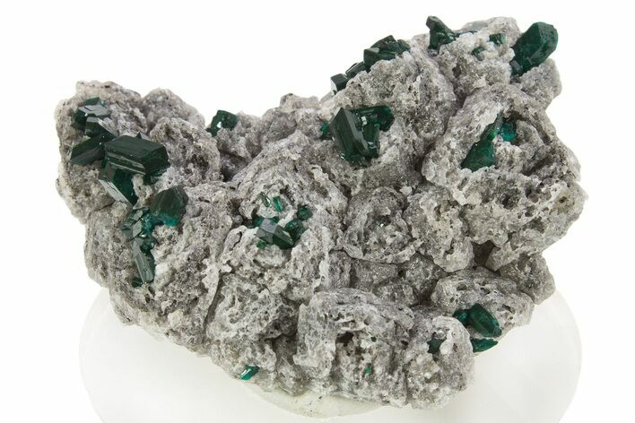 Gemmy Dioptase Crystals On Calcite - Congo #335199